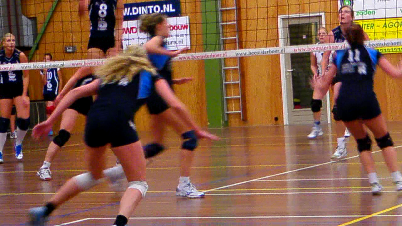 Bejo/Dinto zorgt voor sensatie in de Doorbraak